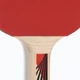 Ракетка для настільного тенісу Donic-Schildkrot Legends 600 FSC 724416 (Оригінал) - зображення 7