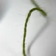 Шнур на метраж Радосвіт Шпагат джутовый двухниточный Зеленый 1.4 мм - изображение 2