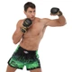 Шорты для тайского бокса и кикбоксинга Fairtex 9474 размер XL (48-50) Green-Black - изображение 6