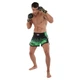 Шорты для тайского бокса и кикбоксинга Fairtex 9474 размер XL (48-50) Green-Black - изображение 8