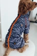 Дощовик для такс кант рябий Dogs Bomba MT-29/3 - зображення 1