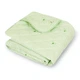 Ковдра Зимова Vital-Textile Євро 200 х 220 см Зелена Альпака (Kzbаe) - зображення 1
