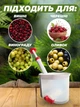 Прибор для удаления косточек из вишни машинка ручная Lemleo Red - изображение 3