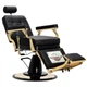 Перукарське крісло гідравлічне ENZO-9140G (ENZO-9185G) Kostas Barberking - зображення 2