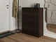 Тумба для взуття Tobi Sho Laura Т-207 з шухлядою в передпокій, 700х920х280 мм Венге темний - зображення 3