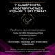 Влажный корм для кошек Purina Pro Plan Veterinary Diets UR ST/OX Urinary С лососем 10 x 85 г (8445290093851) - изображение 11