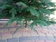 Ялинка штучна Преміум 2.30 м лита 21 ряд Зелена (14-41-Прем.З-230) - зображення 6