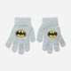 Детские демисезонные вязаные перчатки для мальчиков Disney Batman XH4093 One Size Светло-серые (3609087276369) - изображение 1