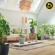 Вазон Lechuza CLASSICO Color ECO 18, темно-серый (A-014829) - изображение 9