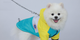 Куртка для собак ветрозащитная влагостойкая Pet Style «Tagoon» Голубая XL - изображение 2