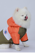 Куртка для собак ветрозащитная влагостойкая Pet Style «Tagoon» Оранжево-зеленая S - изображение 3