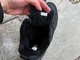 Мужские зимние кроссовки на меху Xtep Retro Shoes 977419370030 Black 43 27.5 см (11111831) - изображение 10