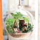 Румбокс - шар интерьерный 3D конструктор Miniature DIY Cuteroom Mini fairy Forest Elf Tribe TOTORO B-010 + подставка - изображение 2