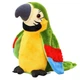 Іграшка папуга інтерактивна Parrot Talking повторює слова та махає крилами Зелений - зображення 5