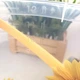 Хозяйственное пластиковое ведро 12 л с мерной шкалой Подсолнух IRAK PLASTIK - изображение 6