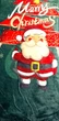 Плед новогодний флисовый Malloory Home 200*230 см Санта Клаус - изображение 3