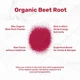 Натуральная добавка премиум-класса оксида азота Deal Supplement Organic Beet Root Powder 1360 г - изображение 3