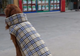 Зимовий водонепроникний двохсторонній жилет в клітинку Derby Plaid Beige в британському стилі, XS Бежевий - зображення 4
