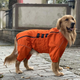 Комбінезон-дощовик для такс, коргі Derby Dog Suit Orange D-S - зображення 1