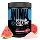Креатин Universal Animal Supercharged Creatine 4-in-1 Powder 282 g (Watermelon) - изображение 3