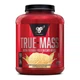 Гейнер BSN True-Mass 1200 2700 g (Vanilla Ice Cream) - зображення 1