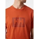 Футболка мужская Helly Hansen T-Shirt In Morbido Cotone Hh Box M Помаранчевий 53285-179 - изображение 5