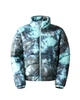 Куртка чоловіча THE NORTH FACE Elements 2000 Printed Jacket M Різнокольоровий (NF0A7WW6957) - зображення 1