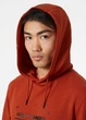 Кофта мужская Helly Hansen Move Sweat Hoodie L Помаранчевий 53701-308 - изображение 4