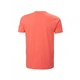 Футболка чоловіча Helly Hansen Rwb Graphic T-Shirt XL Персиковий 53763-284 - зображення 6