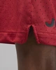 Шорты мужские Jordan Dri-Fit Sport Bc Mesh Shorts XL Красный (DZ0569-687) - изображение 8