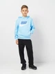 Подростковые спортивные штаны джоггеры для мальчика Reporter Young 243-0117B-35-100-1 158 см Черные с серым (5900703927039) - изображение 3