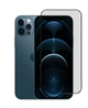Захисна гідрогелева плівка DScreen для Apple iPhone 12 Pro Max матова (0.22 мм) - изображение 1
