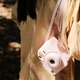 Чохол для фотоапарата Fujifilm Instax Mini 12 Blossom Pink / Розовий / підходить до камери Mini 9/11/12 - изображение 6