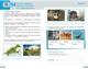 НУШ Біологія. 7 клас. Робочий зошит (9786170989512) - зображення 5