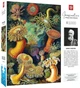 Пазл GOOD LOOT Imagination: Ernst Haeckel: Sea Anemones/Stworzenia morskie Puzzles 1000 эл. (5908305244943) - изображение 1
