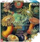 Пазл GOOD LOOT Imagination: Ernst Haeckel: Sea Anemones/Stworzenia morskie Puzzles 1000 эл. (5908305244943) - изображение 2