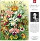 Пазл: GOOD LOOT Ernst Haeckel Orchid 1000 эл. (5908305247531) - изображение 7