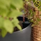 Вазон Lechuza CLASSICO Color ECO 18, темно-серый (A-014829) - изображение 5