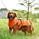 Світловідбивне тепле пальто для собак Derby DJ64 Orange S - зображення 4