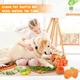 Коврик для нюханья для собак Derby Pet Shuffle Mat colourful - изображение 2