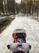 Зимний конверт в коляску Merrygoround Розы 95х50 см овчина с цветочным принтом (15728031631195) - изображение 6