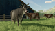 Gra PC Farming Simulator 22 (DVD płyta) (4064635100210) - obraz 13