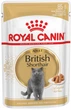 Royal Canin British Shorthair Adult Корм ​​Для Котів Породи Британська Короткошерста Паучі 0,085 кг (9003579001257) (2032001) - зображення 1