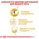 Royal Canin British Shorthair Adult Корм ​​Для Котів Породи Британська Короткошерста Паучі 0,085 кг (9003579001257) (2032001) - зображення 3