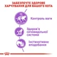 Royal Canin Sterilised в соусі 85 г | Корм для Стерилізованих котів у паучах (9003579311301) (40950010) - изображение 5