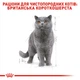 Royal Canin British Shorthair Adult Корм ​​Для Котів Породи Британська Короткошерста Паучі 0,085 кг (9003579001257) (2032001) - зображення 8