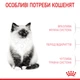 Royal Canin Kitten Сухий Корм ​​Для Кошенят 2 кг (3182550702423) (2522020) - зображення 12