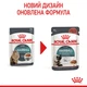 Hairball Care Консервований Корм Для Котів Виведення Шерсті 0,085 кг (9003579000410) (4158001) - изображение 6