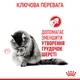 Hairball Care Консервований Корм Для Котів Виведення Шерсті 0,085 кг (9003579000410) (4158001) - изображение 15