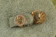 Серьги детские Xuping Jewelry яблочко 8 мм золотистые - изображение 2